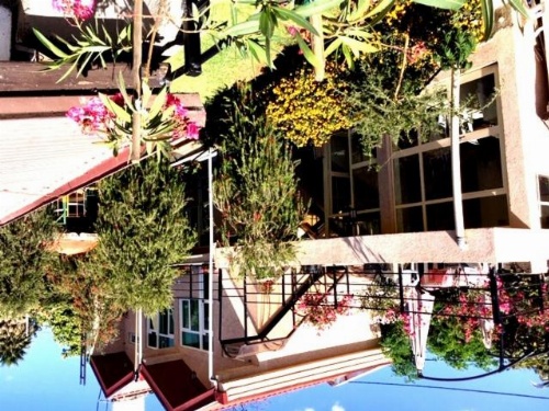 Biruk Bed & Breakfast image 5