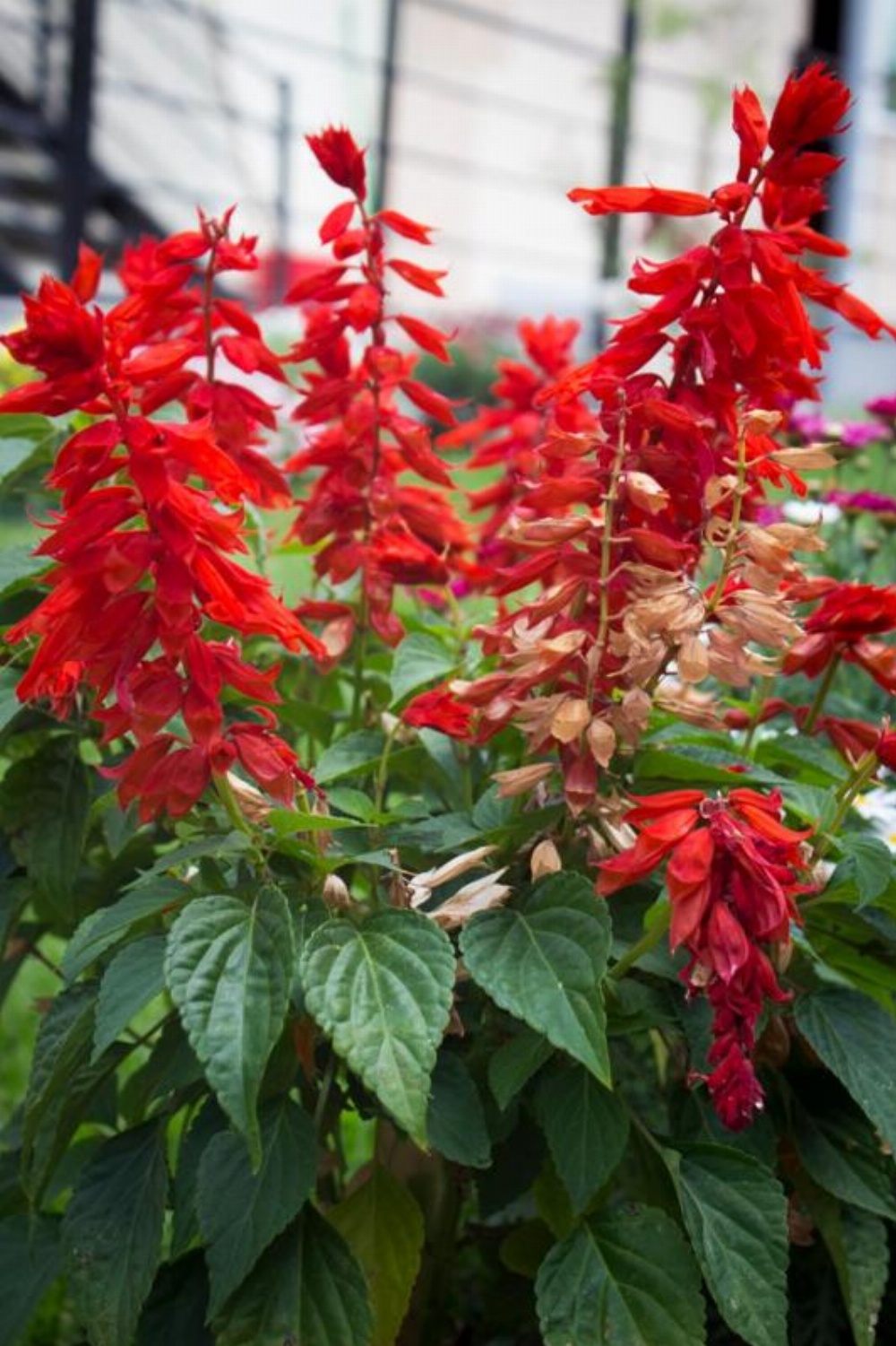 Biruk Bed & Breakfast